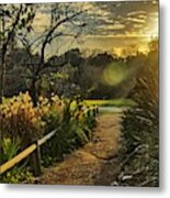 Trail To The Sunset Metal Print