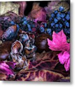 Transition In Fall Metal Print
