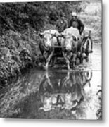 Travel On The Cow Cart Metal Print