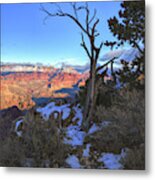 Tree Frames The Grand Canyon Metal Print