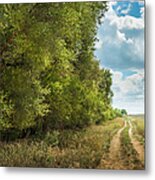 Tree-lined West Texas Meandering Dirt Metal Print