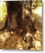 Tree- Los Virgenes Metal Print