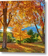 Tree Magic Metal Print