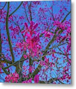 Tree Of Passion - Fuel My Soul Metal Print