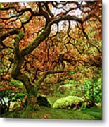 Tree Of Zen Metal Print