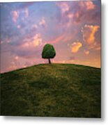 Tree On Hill During Sunset Metal Print