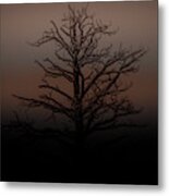 Tree Silhouette Metal Print
