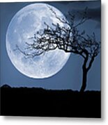 Treelight Metal Print