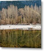 Trees And Merced River Metal Print