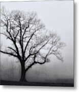 Trees In Fog # 2 Metal Print