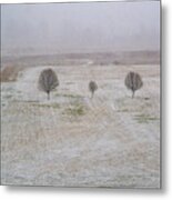 Trees In Snowstorm Metal Print