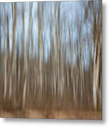 Trees In The Forest Metal Print