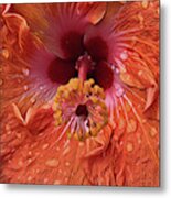 Tropical Hibiscus Metal Print