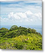 Tropical Island Super Panorama Lush Metal Print