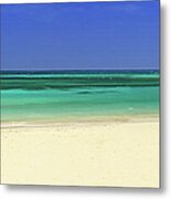 Turquoise Sea With Empty Beach And Palm Metal Print
