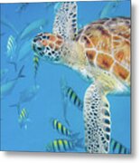 Turtle And Fish Metal Print