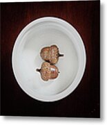 Two Acorns Side By Side In White Dish Metal Print