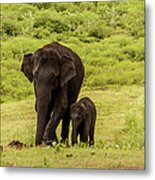 Two Elephants Mother And Baby In Green Metal Print