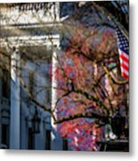 Two Flags Metal Print