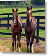 Two Friends Metal Print