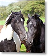 Two Horses Metal Print