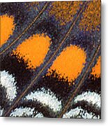 Under Wing Close-up Red Spotted Purple Metal Print