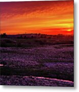 Curvaceous Coulee - Nd Coulee Winding Through The Prairie At Sunset Near Brinsmade Nd Metal Print