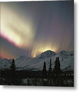 Usa, Alaska, Denali National Park Metal Print