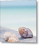 Usa, Florida, St. Petersburg, Focus On Metal Print