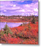 Usa, Maine, Acadia Natl. Park, Autumn Metal Print