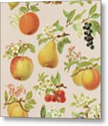 Various Fruits Metal Print