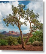 View From Juniper 1302 Metal Print