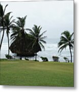 View Of Lawn And Palm Tree With Sea At Lesser Antilles, Caribbean Island, Barbados Metal Print