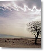 View Of The Dead Sea Metal Print
