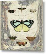 Vintage Butterfly Bookplate Metal Print