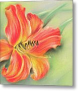 Vivid Orange Daylily Metal Print