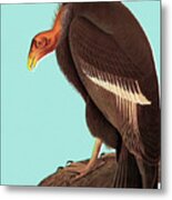 Vulture/n Metal Poster