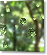 Water Drops In The Forest Metal Print
