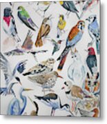 Watercolor - North American Birds Metal Print