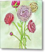 Watercolor Ranunculus Botanical Flowers Metal Print