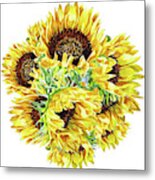 Watercolor Sunshine Of Sunflowers Metal Print