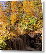 Waterfall In Autumn Metal Print