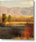 Waterfowl Complex In New Mexico Metal Print
