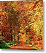 Way Fall Metal Print