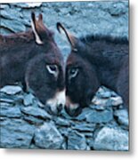 Eye To Eye, Nose To Nose, Heart To Heart Metal Print