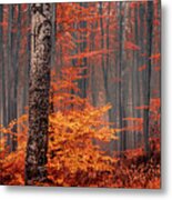 Welcome To Orange Forest Metal Print