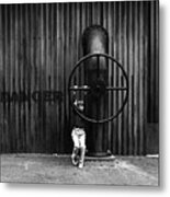 Wheel Of Life (from The Series "childhoods") Metal Print