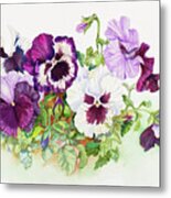 White And Purple Pansies Ii Metal Print