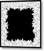 White Black Lily Flower Frame Metal Print