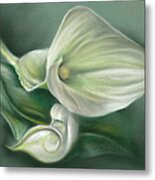 White Callas With Leaf Metal Print